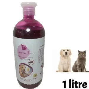 Shampoing anti puce pour chat et chien animal de compagnie