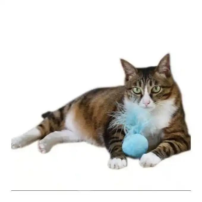Balle pour chat / jouet pour chat Balle pour chat / jouet pour chat