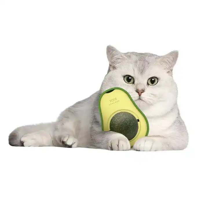 Catnip pour chat / avocat catnip jouet Catnip pour chat / avocat catnip jouet