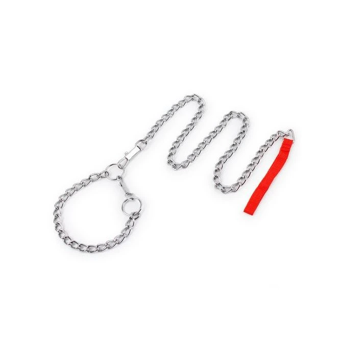 Laisse avec étrangleur en acier pour chien Laisse avec étrangleur en acier pour chien