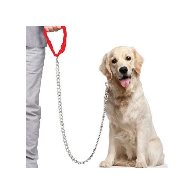 Laisse avec étrangleur en acier pour chien Laisse avec étrangleur en acier pour chien