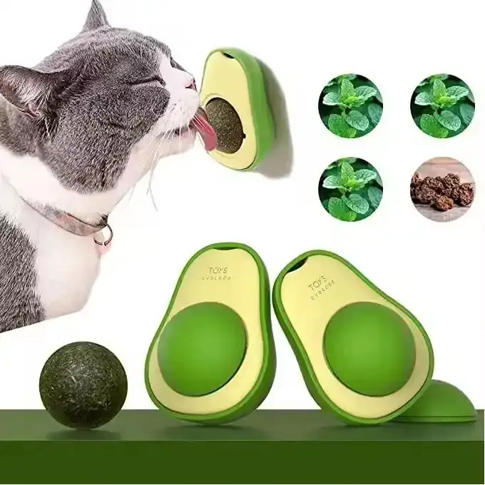 Catnip pour chat / avocat catnip jouet Catnip pour chat / avocat catnip jouet