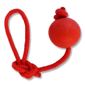 Jouet pour chien / balle avec ficelle pour chien