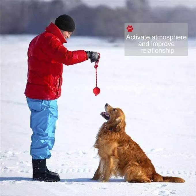 Jouet pour chien / balle avec ficelle pour chien Jouet pour chien / balle avec ficelle pour chien