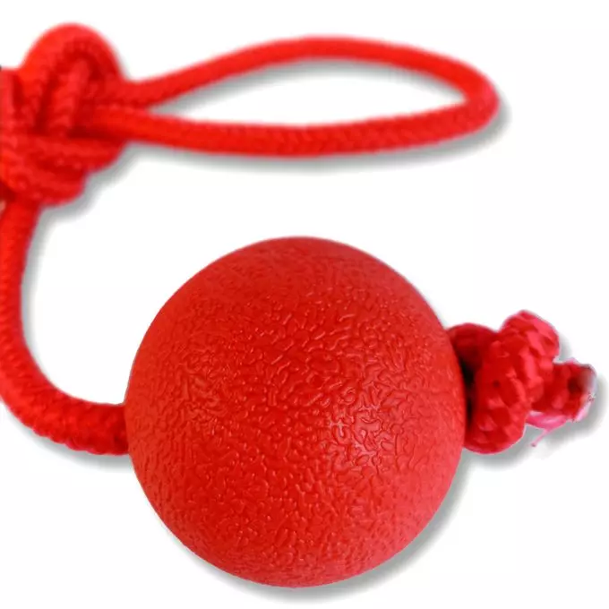 Jouet pour chien / balle avec ficelle pour chien Jouet pour chien / balle avec ficelle pour chien