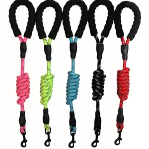 Laisse pour chien
