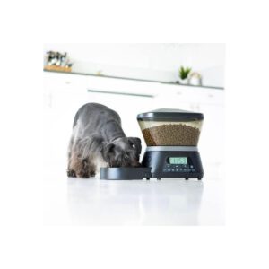 Distributeur automatique de croquettes programmable pour chien et chat