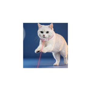 Collier laser LED interactif pour chat – rechargeable