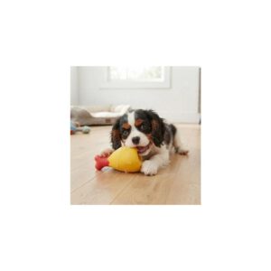 Jouet cuisse de poulet pour chiot