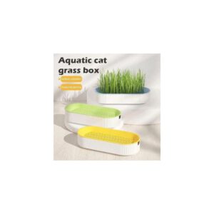 Kit hydroponique pour herbe à chat – culture sans terre