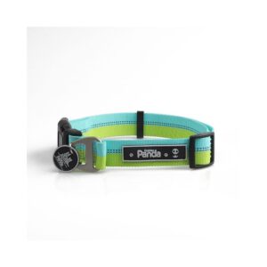 Collier pour chien bicolore