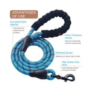 Laisse pour chien en nylon